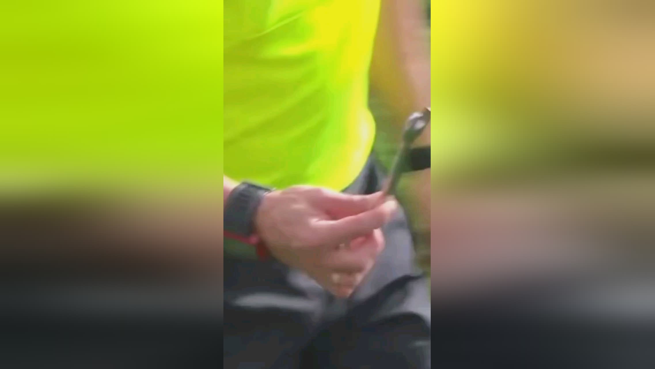 他的全面